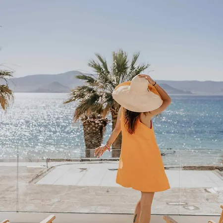 Ostrako Beachside Agia Anna (Naxos)