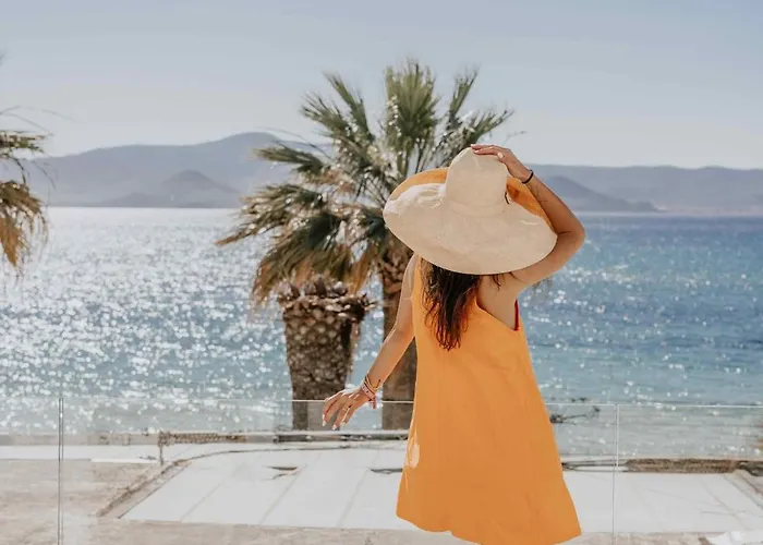 Ostrako Beachside Agia Anna (Naxos)